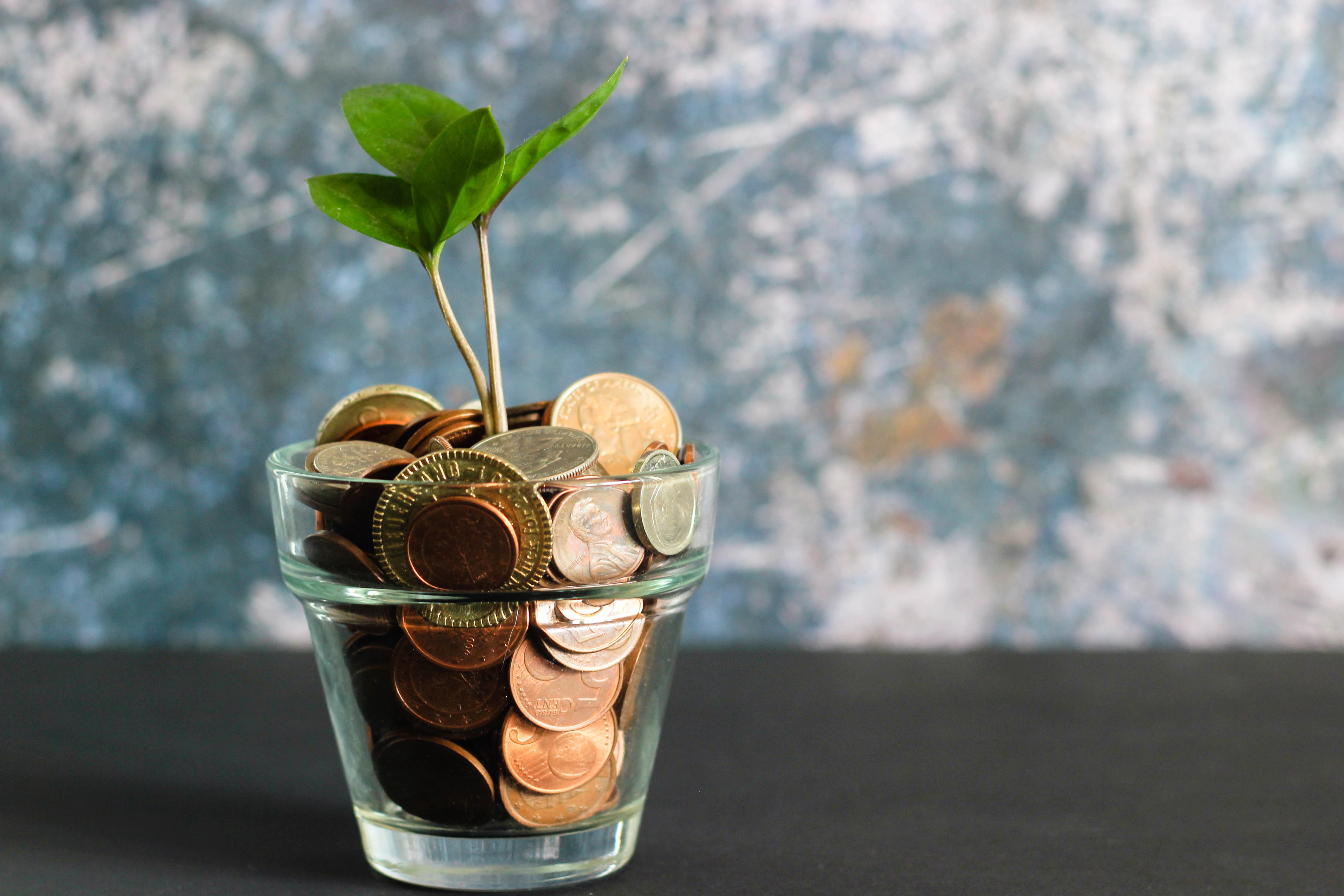 How to monetise a blog