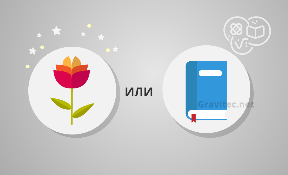окно подписки push